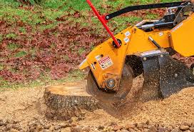 Best Tree Removal  in Montclair, CA